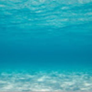 Meet your Posher, Jane